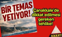 Çanakkale’de dikkat edilmesi gereken tehlike! Bir temas yetiyor