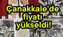Çanakkale'de fiyatı yükseldi!
