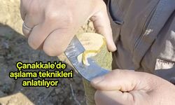 Çanakkale'de aşılama teknikleri anlatılıyor (Video)