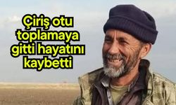 Çiriş otu toplamaya gitti hayatını kaybetti