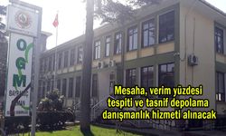 Mesaha, verim yüzdesi tespiti ve tasnif depolama danışmanlık hizmeti alınacak