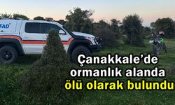 Çanakkale’de ormanlık alanda ölü olarak bulundu