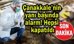 Çanakkale’nin yanı başında alarm! Hepsi kapatıldı