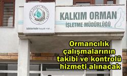 Ormancılık çalışmalarının takibi ve kontrolü hizmeti alınacak