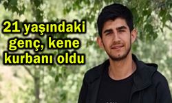 21 yaşındaki genç, kene kurbanı oldu