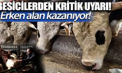 Kurbanlık Alırken Dikkat! Besicilerden Hayati Uyarı (Video)