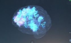 Sanal Şiddet Gerçeğe Dönüşüyor! (Video)