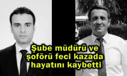 Şube müdürü ve şoförü feci kazada hayatını kaybetti