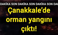 Çanakkale’de orman yangını çıktı!
