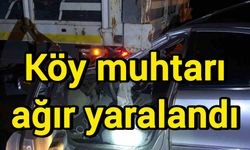Köy muhtarı ağır yaralandı