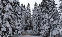 Kış geri dönüyor...Mayısta kar sürprizi yaşanacak