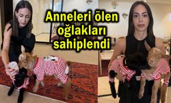 Anneleri ölen oğlakları sahiplendi (Video)