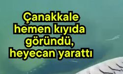 Çanakkale hemen kıyıda göründü, heyecan yarattı