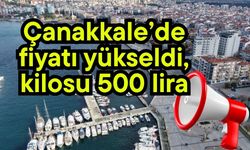 Çanakkale’de fiyatı yükseldi, kilosu 500 lira