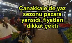 Çanakkale’de yaz sezonu pazara yansıdı, fiyatları dikkat çekti