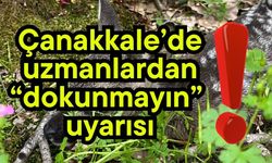 Çanakkale’de uzmanlardan “dokunmayın” uyarısı!