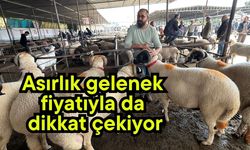 Asırlık gelenek fiyatıyla da dikkat çekiyor (Video)