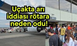Uçakta arı iddiası rötara neden odu!