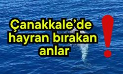 Çanakkale’de hayran bırakan anlar!