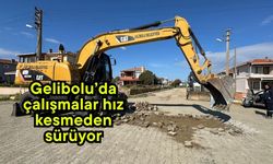 Gelibolu’da çalışmalar hız kesmeden sürüyor