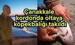 Çanakkale kordonda oltaya köpekbalığı takıldı