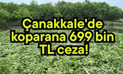 Çanakkale'de koparana 699 bin TL ceza! (Video)