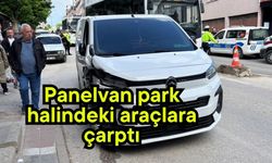 Panelvan park halindeki araçlara çarptı