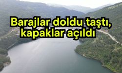 Barajlar doldu taştı, kapaklar açıldı (Video)
