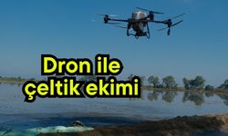 Dron ile çeltik ekimi (Video)