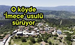 O köyde 'İmece' usulü sürüyor (Video)