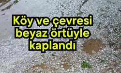 Köy ve çevresi beyaz örtüyle kaplandı