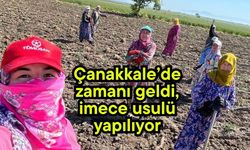 Çanakkale’de zamanı geldi, imece usulü yapılıyor