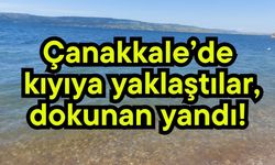 Çanakkale’de kıyıya yaklaştılar, dokunan yandı!