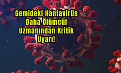 Gemideki Hantavirüs Daha Ölümcül: Uzmanından Kritik Uyarı