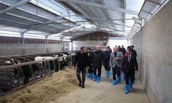 Kurban Bayramı Öncesi Çanakkale'de inceleme