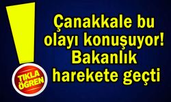 Çanakkale bu olayı konuşuyor! Bakanlık harekete geçti