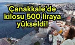 Çanakkale'de kilosu 500 liraya yükseldi!
