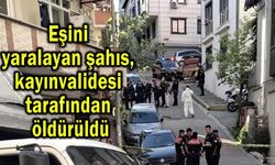 Eşini yaralayan şahıs, kayınvalidesi tarafından öldürüldü