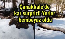 Çanakkale'de kar sürprizi! Yerler bembeyaz oldu