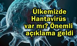 Ülkemizde Hantavirüs var mı? Önemli açıklama geldi