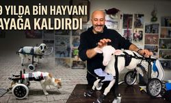 9 yılda bin hayvanı ayağa kaldırdı (Video)
