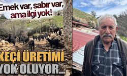 Keçi Üretimi Yok Oluyor! (Video)