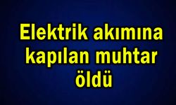 Elektrik akımına kapılan muhtar öldü