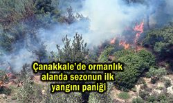 Çanakkale’de ormanlık alanda sezonun ilk yangını paniği