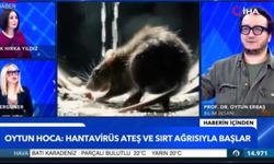 Prof. Dr. Oytun Erbaş’tan hantavirüs açıklaması: "İnsandan insana bulaşmıyordu'' (Video)