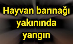 Hayvan barınağı yakınında yangın