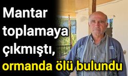 Mantar toplamaya çıkmıştı, ormanda ölü bulundu
