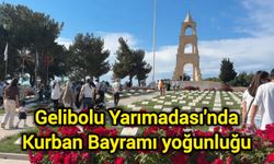 Gelibolu Yarımadası'nda Kurban Bayramı yoğunluğu