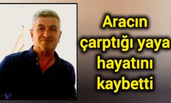 Aracın çarptığı yaya hayatını kaybetti