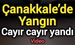 Çanakkale’de Yangın! Cayır cayır yandı